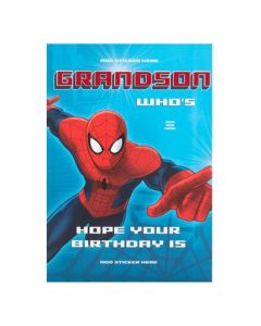 GRANDSON MULTI AGE PERSONALISE 25462226 Marvel 125 EVERYDAY (Pack Size: 6)