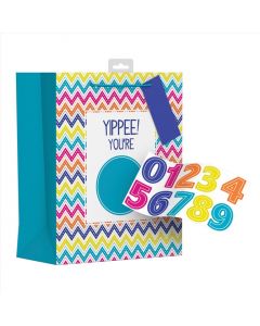 GIFTBAG BAGS, BIRTHDAY AGE STICKERS LARGE EVERYDAY (Pack Size: 6)