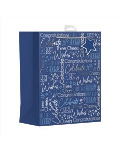 GIFTBAG BAGS, MALE HAPPY BDAY LARGE EVERYDAY (Pack Size: 6)