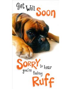 GET WELL 10662104 HALLMARK 050 EVERYDAY (Pack Size: 6)