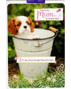 MUM PAPYRUS 070 11159041 Papyrus 070 EVERYDAY (Pack Size: 6)