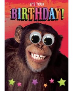 BIRTHDAY OPEN 125 11209221 Open 125 EVERYDAY (Pack Size: 6)