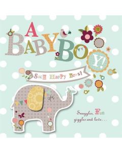 BIRTH OF BOY OPEN 100 11225811 Bellissima 100 EVERYDAY (Pack Size: 6)