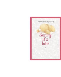 BELATED 11359772 Forever Friends 050 EVERYDAY (Pack Size: 6)