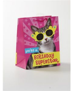 GIFTBAG MEDIUM CAT IN SUNGLASSES 11513872 043 EVERYDAY (Pack Size: 6)