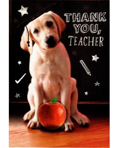THANK YOU TEACHER 075 11519369 RSPCA 075 EVERYDAY (Pack Size: 6)