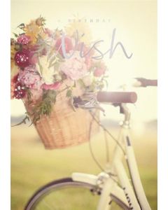 OPEN FEMALE 050 11522314 Handpicked 050 EVERYDAY (Pack Size: 6)