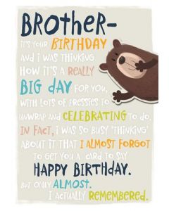 BROTHER OPN 075 25446312 075 EVERYDAY (Pack Size: 6)