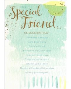 SPECIAL FRIEND OPN 050 25448124 Handpicked 050 EVERYDAY (Pack Size: 6)