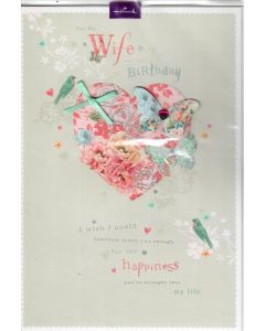 WIFE OPN 250 25452442 250 EVERYDAY (Pack Size: 6)