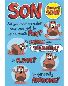 SON OPN 125 25452544 Mad As Cheese 125 EVERYDAY (Pack Size: 6)