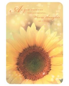 GET WELL OPERATION 035 25452869 035 EVERYDAY (Pack Size: 6)