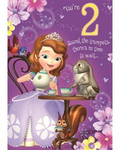 2ND BIRTHDAY FEM 050 25454750 Disney 050 EVERYDAY (Pack Size: 6)