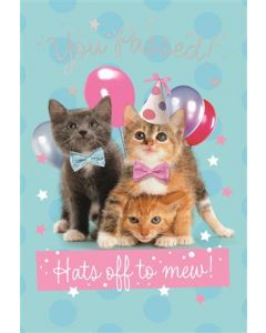 EXAM CONGRATULATION OPN 050 25459317 Pet Celebs 050 EVERYDAY (Pack Size: 6)