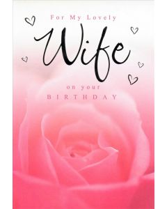 WIFE OPN 050 25459896 Handpicked 050 EVERYDAY (Pack Size: 6)