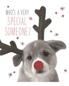 SOMEONE SPECIAL OPN 050 25462637 Hallmark 050 CHRISTMAS (Pack Size: 6)