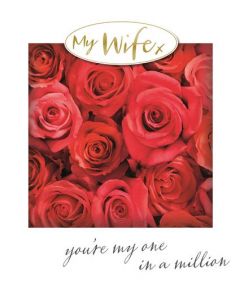 WIFE OPN 075 25472219 075 EVERYDAY (Pack Size: 6)