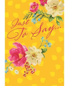 JUST TO SAY OPN 035 25472642 035 EVERYDAY (Pack Size: 6)