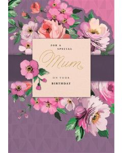 MUM OPN 075 25473555 075 EVERYDAY (Pack Size: 6)