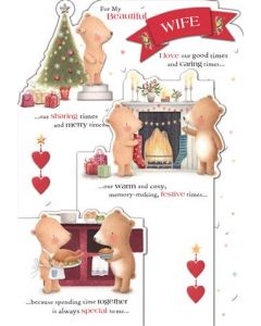 WIFE OPN 250 25477626 Ted and Ginger 250 CHRISTMAS (Pack Size: 3)