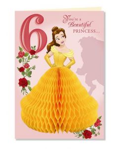 6TH BIRTHDAY FEM 250 25482542 Disney 250 EVERYDAY (Pack Size: 6)