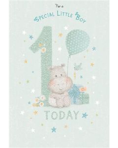 1ST BIRTHDAY MALE 050 25483083 Po and Birdie 050 EVERYDAY (Pack Size: 6)