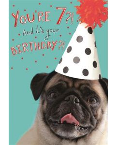 7TH BIRTHDAY OPN 050 25484031 Totally Pawsome 050 EVERYDAY (Pack Size: 6)