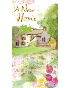 NEW HOME 25484341 050 EVERYDAY (Pack Size: 6)