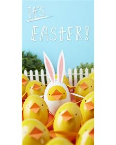 UNISEX 25486788 Hallmark 025 EASTER (Pack Size: 3)
