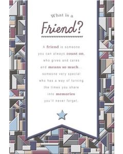 FRIEND 25487005 050 EVERYDAY (Pack Size: 6)