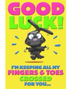 GOOD LUCK 25488366 Mad As Cheese 050 EVERYDAY (Pack Size: 6)