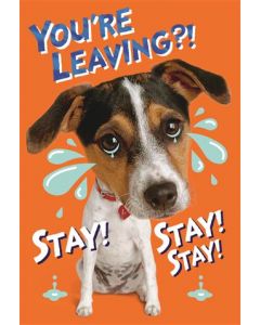 MOC LVG OPN 050 25489065 Pet Celebs 050 EVERYDAY (Pack Size: 6)
