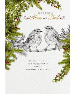 MUM & DAD OPN 075 25493708 Gentle Nature 075 CHRISTMAS (Pack Size: 6)