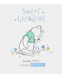 GRANDSON OPN 75 25497917 Disney Baby 075 EVERYDAY (Pack Size: 6)