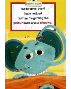 GEW HOS 050 25501304 Mad As Cheese 050 EVERYDAY (Pack Size: 6)