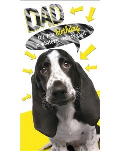 DAD OPN 075 25502810 Mad As Cheese 075 EVERYDAY (Pack Size: 6)