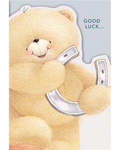 GOOD LUCK OPN 050 25508402 Forever Friends 050 EVERYDAY (Pack Size: 6)