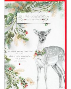 MUM OPN 250 25510122 Gentle Nature 250 CHRISTMAS (Pack Size: 3)