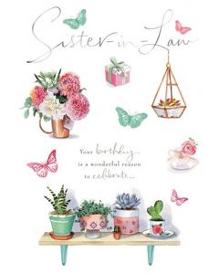 SISTER IN LAW OPN 075 25515021 Lucy Cromwell 075 EVERYDAY (Pack Size: 6)