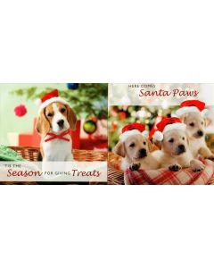 SIMPLY MINI PHOTOGRAPHIC DOGS 30 25522063 Hallmark Value CHRISTMAS (Pack Size: 18)