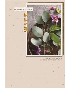 SYMPATHY LOSS OF WIFE OPN 25526215 Capture The Sunset 075 EVERYDAY (Pack Size: 6)
