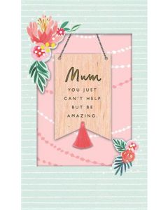 MUM OPN 300 25527934 Cool Things Seen 300 EVERYDAY (Pack Size: 6)