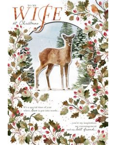 WIFE OPN 375 25543021 Gentle Nature 375 CHRISTMAS (Pack Size: 3)