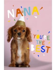 NANA OPN 035 25544161 Friday Feeling 035 EVERYDAY (Pack Size: 6)