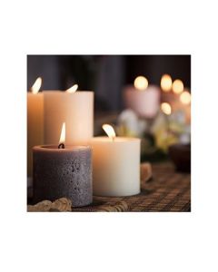 UNISEX 25551704 Gallery 050 EVERYDAY (Pack Size: 6)