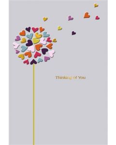 THINKING OF YOU OPEN 050 25554735 Hallmark 050 EVERYDAY (Pack Size: 6)