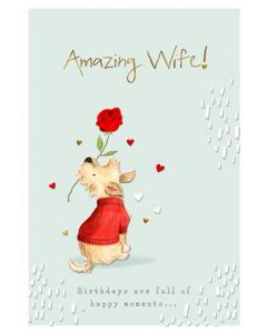 WIFE OPEN 050 25554870 050 EVERYDAY (Pack Size: 6)