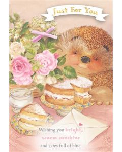 FEMALE OPEN 090 25555060 Country Companions 090 EVERYDAY (Pack Size: 6)