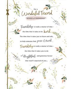 FRIEND 25555212 Written For You 090 EVERYDAY (Pack Size: 6)