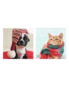 GALLERY BOXED PHOTO CTE DOGS 25555407 Gallery 272 CHRISTMAS (Pack Size: 12)